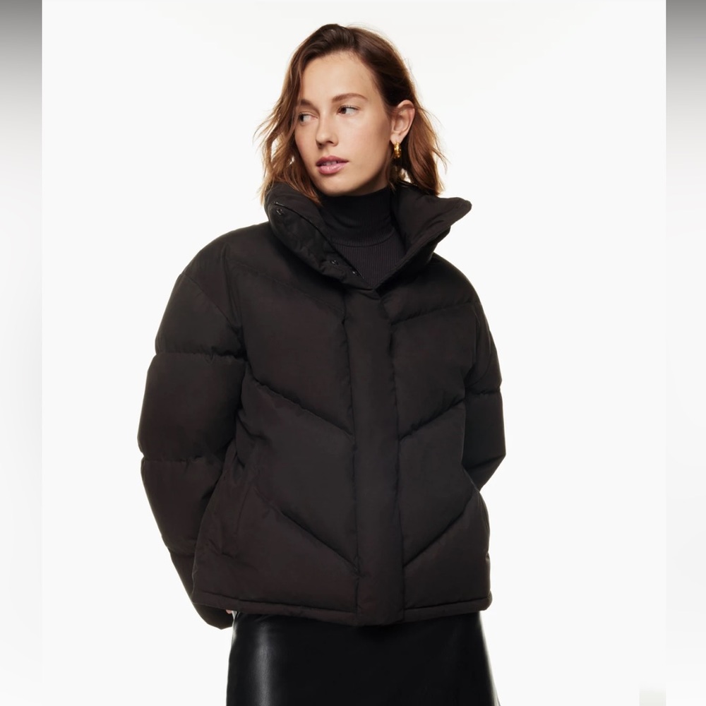 Aritzia Wilfred Cloud Puff